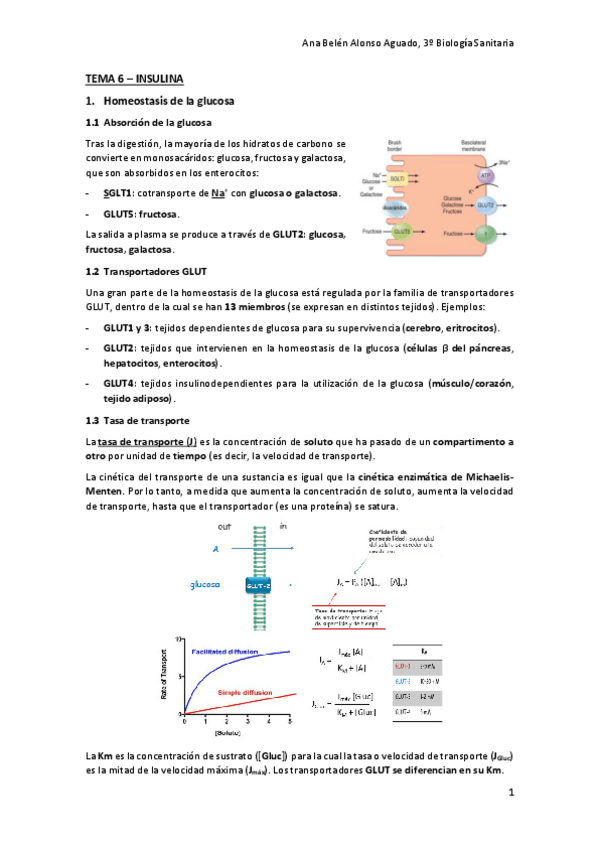 Miniatura del documento TEMA-6-INSULINA.pdf