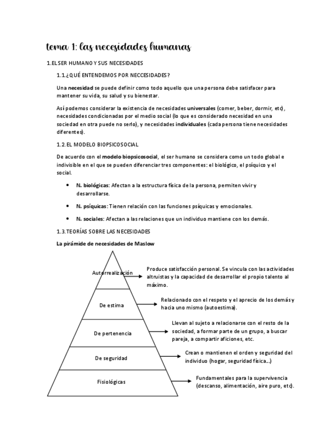 Miniatura del documento RESUMEN-T1-CARACTERISTICAS.pdf