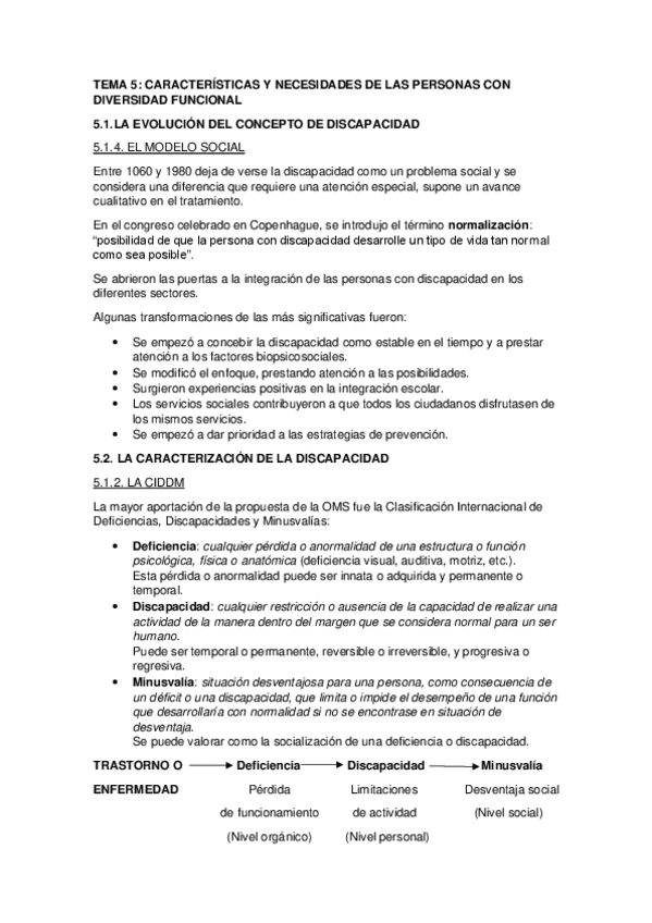 Miniatura del documento RESUMEN-T5-CARACTERISTICAS.pdf