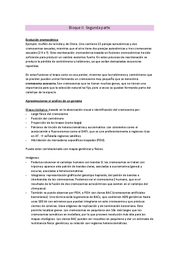 Miniatura del documento Bloque-II.pdf