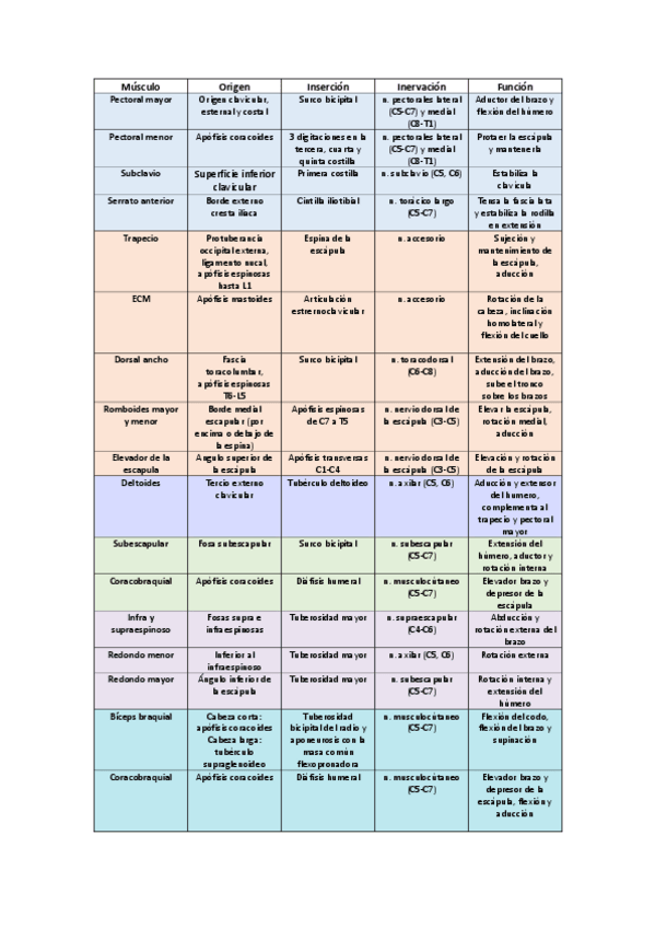 Miniatura del documento Musculos-miembro-superior.pdf