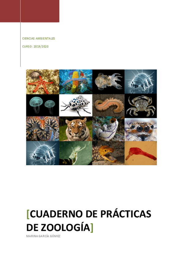 Miniatura del documento CUADERNO-PRACTICAS-ZOOLOGIA.pdf