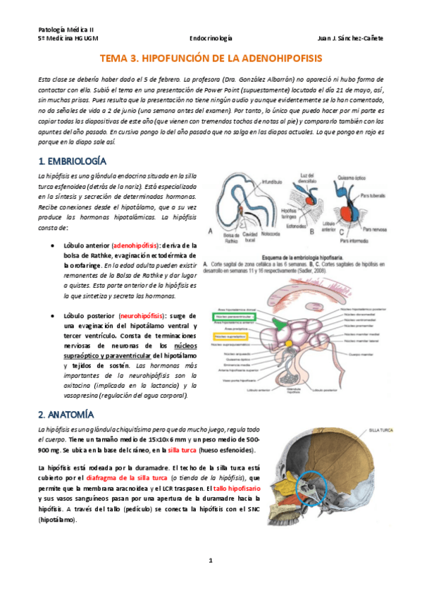 Miniatura del documento TEMA-3-HIPOFUNCION-ADENOHIPOFISARIA.pdf