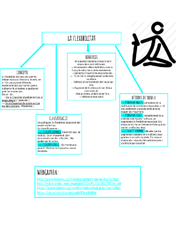 Miniatura del documento Andrea-Toral-Jove-Capacitat-fisica-basica-la-flexibilitat.pdf