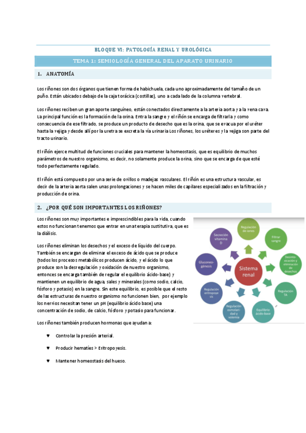 Miniatura del documento BLOQUE-VI-RENAL-Y-UROLOGIA.pdf