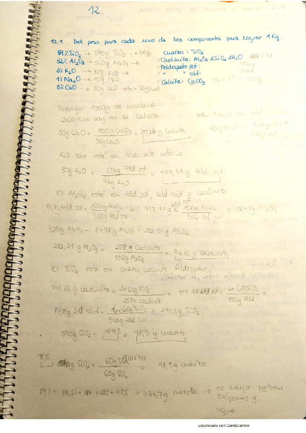 Miniatura del documento CMTemas1213y14.pdf