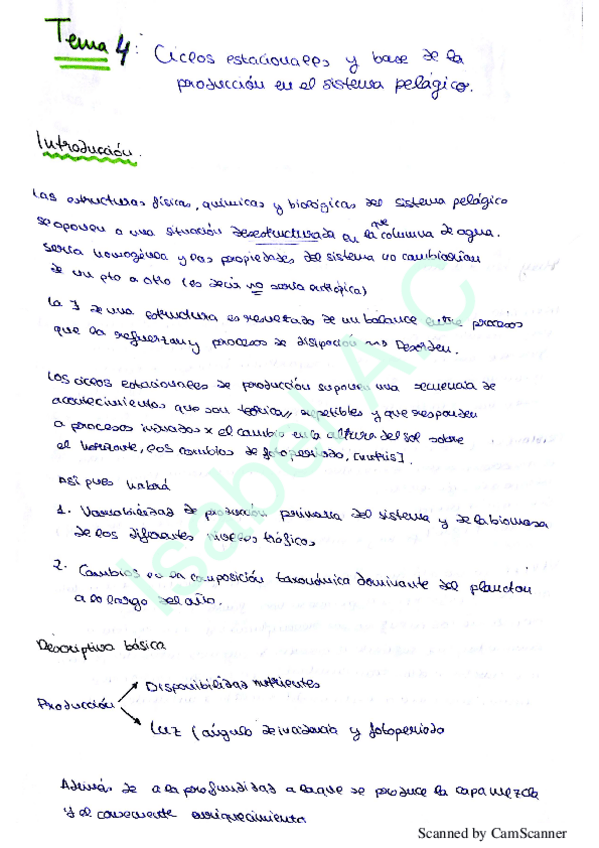 Miniatura del documento O.B tema 4 5 6.pdf