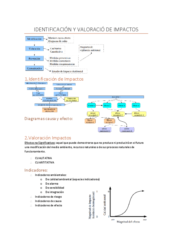 Miniatura del documento Identificacionvaloracionimpactos.pdf