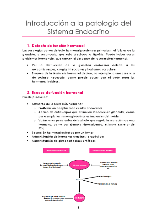 Miniatura del documento Tema 13 Sistema Endocrino.pdf