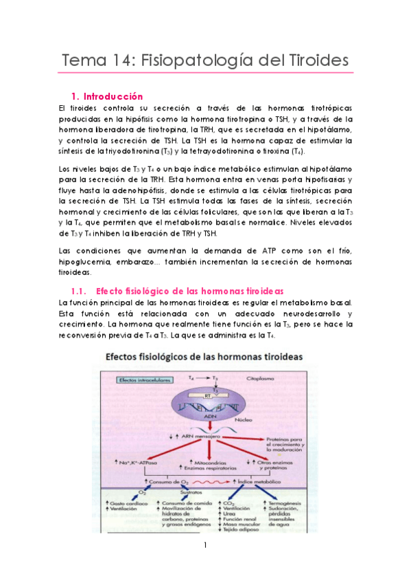 Miniatura del documento Tema 14 Tiroides.pdf