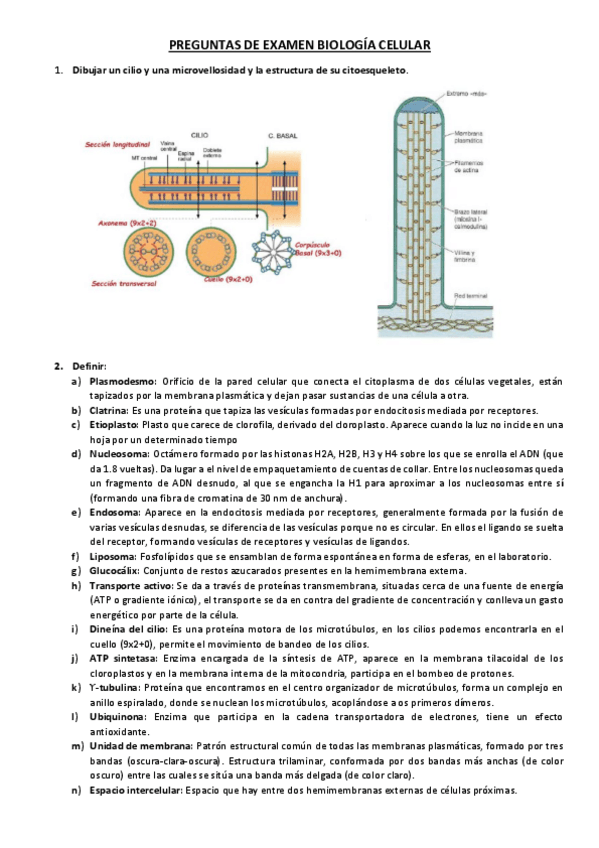 Miniatura del documento PREGUNTAS-DE-EXAMEN-BIOLOGIA-CELULAR.pdf