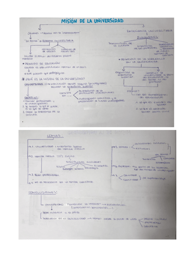 Miniatura del documento MISION-DE-LA-UNIVERSIDAD.pdf