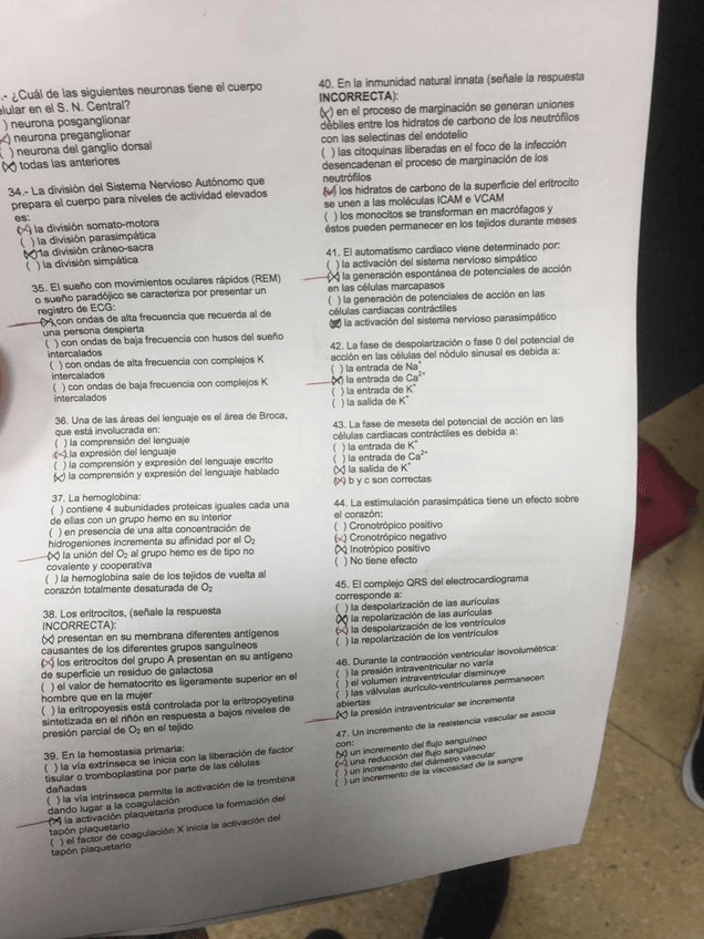 Miniatura del documento WhatsApp-Image-2020-10-27-at-17.jpg