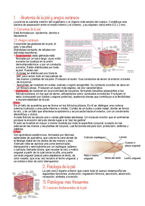 Miniatura del documento La-higiene-de-la-piel.pdf