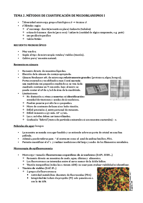 Miniatura del documento Tema-2.pdf