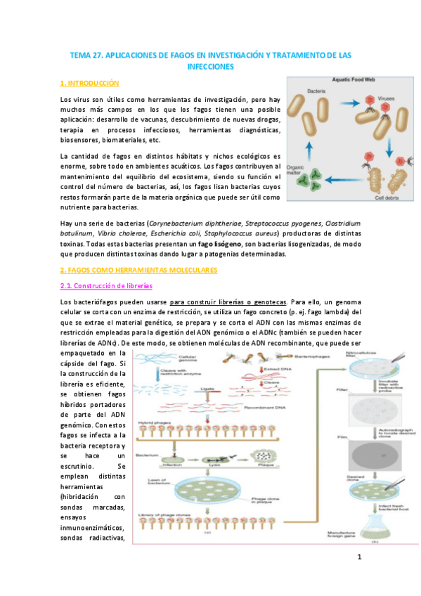 Miniatura del documento TEMA-27.pdf