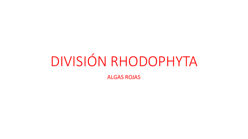 Miniatura del documento DIVISION-RHODOPHYTA.pdf
