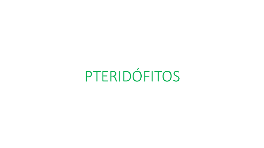 Miniatura del documento PTERIDOFITOS.pdf