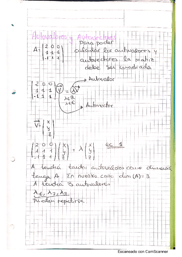 Miniatura del documento autovalores-autovectores-y-diagonalizacion.pdf