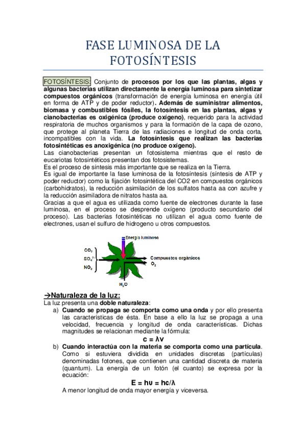 Miniatura del documento Fase luminosa de la fotosíntesis.pdf