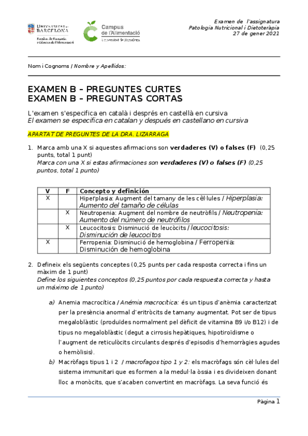 Miniatura del documento EXAM.docx