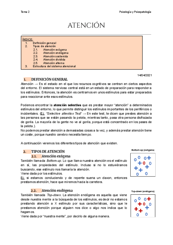 Miniatura del documento Tema-2-Atencion.pdf