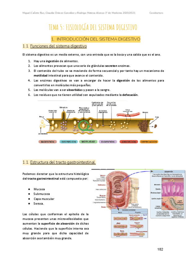 Miniatura del documento Tema-5-fisiologia-del-sistema-digestivo-2.pdf