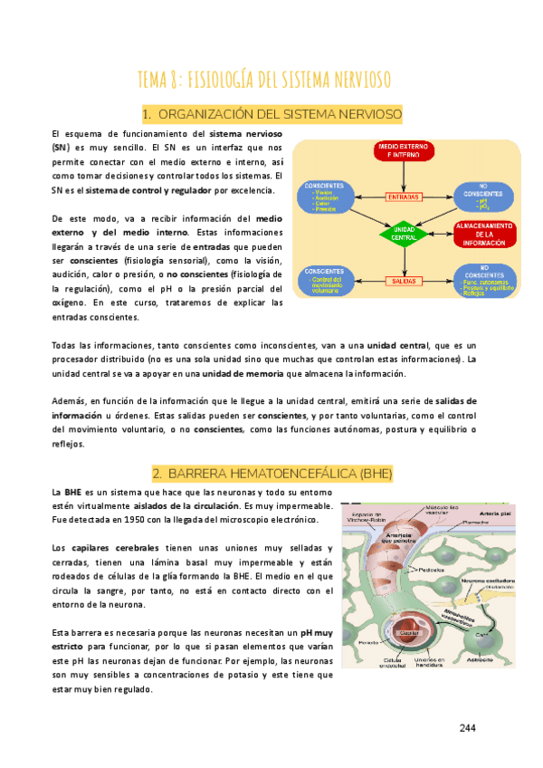 Miniatura del documento Tema-8-Fisiologia-del-sistema-nervioso-2.pdf
