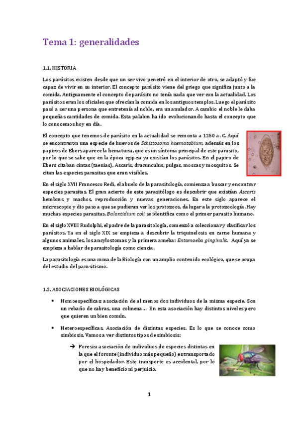 Miniatura del documento Tema 1 para.pdf