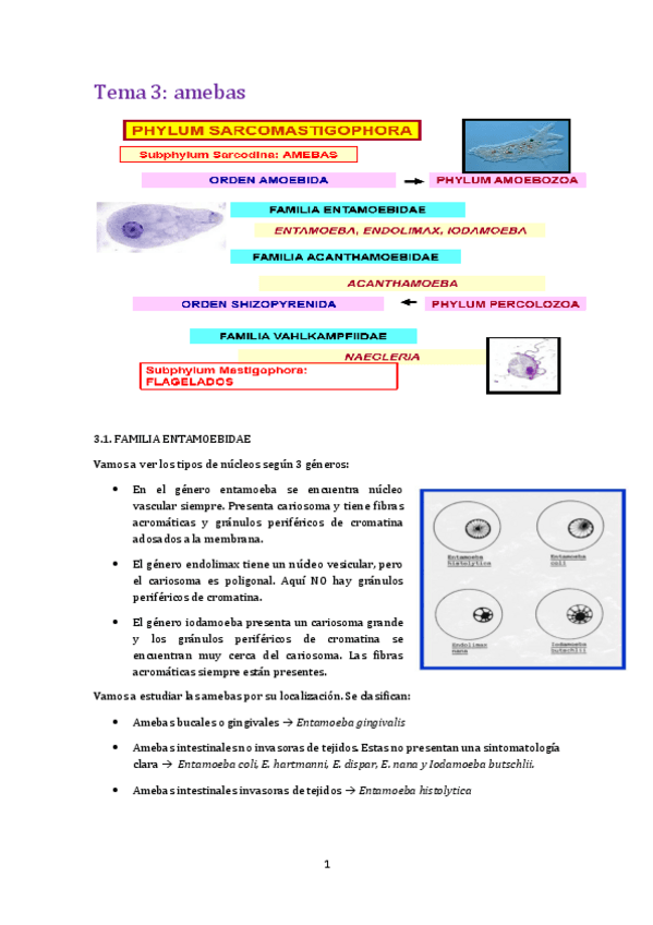 Miniatura del documento Tema 3 Para.pdf