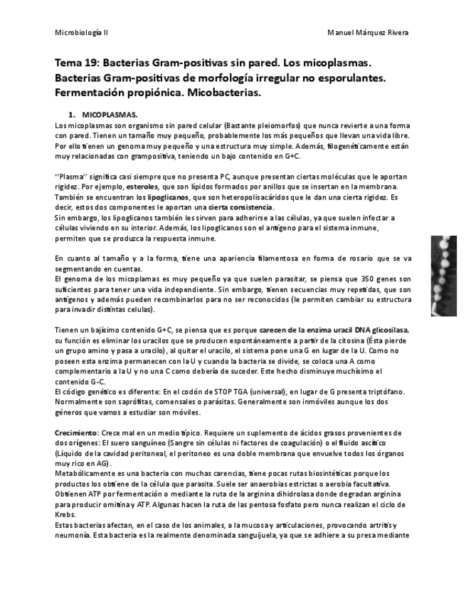 Miniatura del documento Tema 19.pdf
