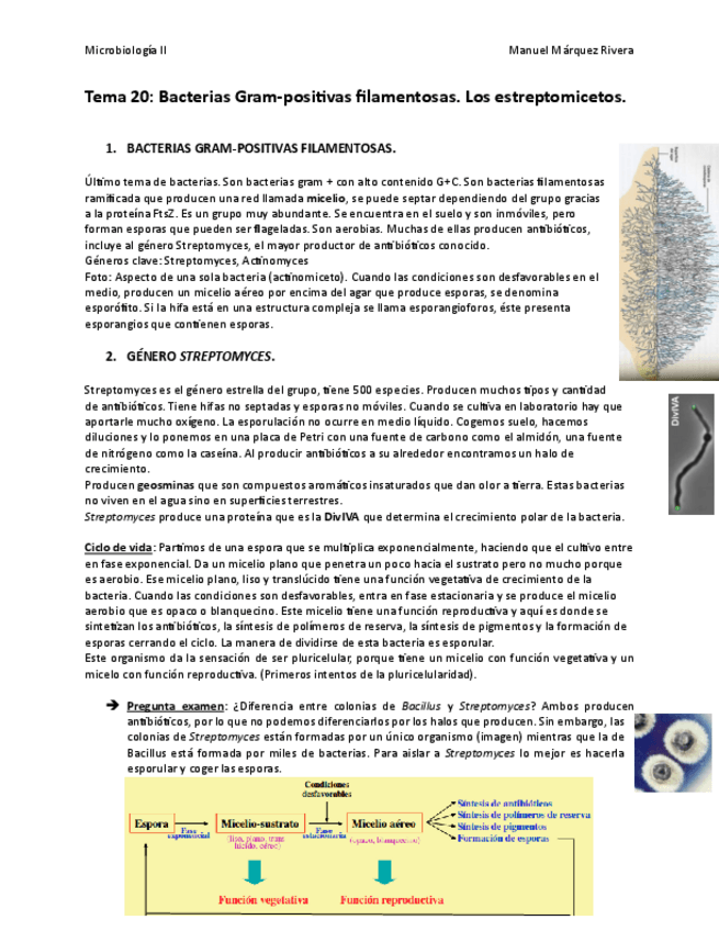 Miniatura del documento Tema 20.pdf