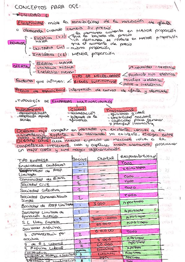 Miniatura del documento APUNTES-OGE-POR-TEMAS-MUY-RESUMIDO.pdf