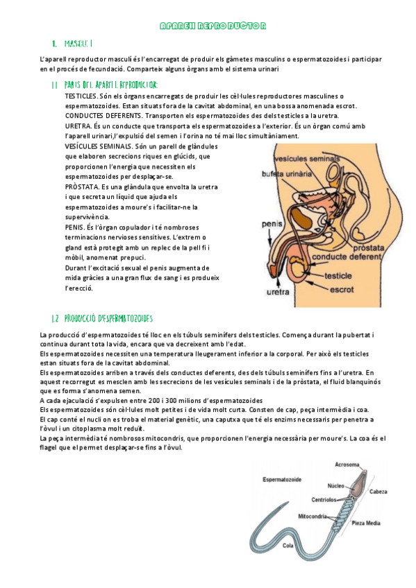 Miniatura del documento APARELL-REPRODUCTOR.pdf
