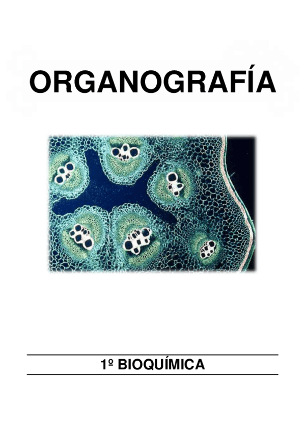 Miniatura del documento Apuntes completos.pdf