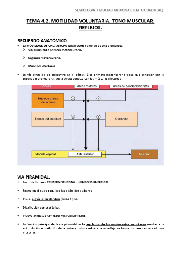 Miniatura del documento Tema-4.pdf