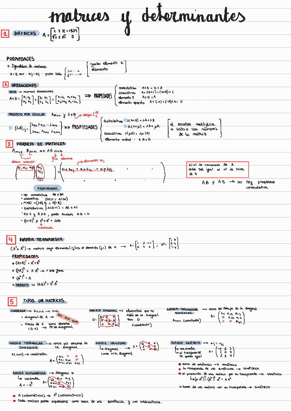 Miniatura del documento Tema1- Matrices y determinantes
