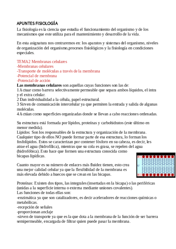Miniatura del documento APUNTES-FISIOLOGIA-TEMA-2-Y-3.pdf