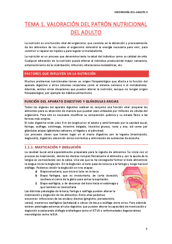 Miniatura del documento TEMA-1.pdf