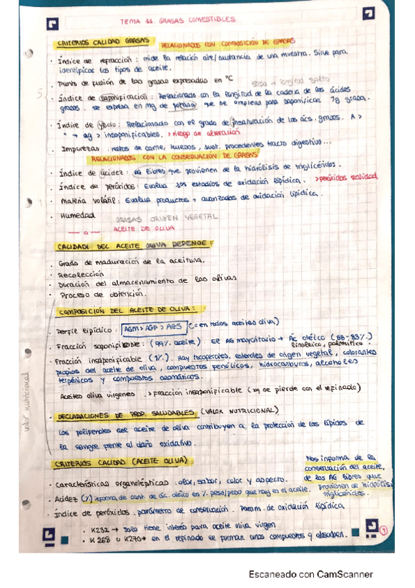 Miniatura del documento apuntes-escaneados-actualizados.pdf