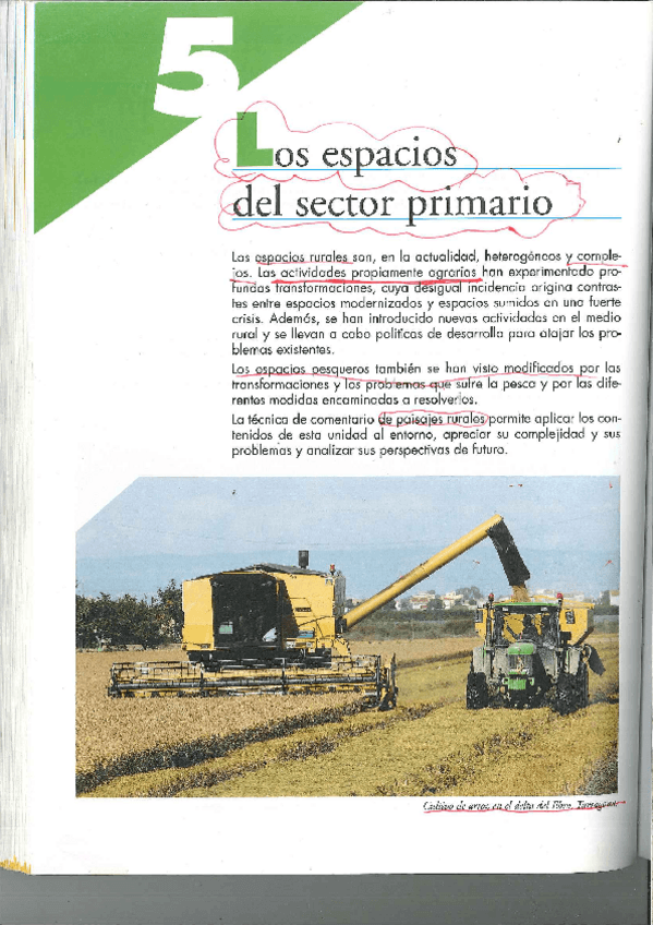 Miniatura del documento Criterio-7.pdf