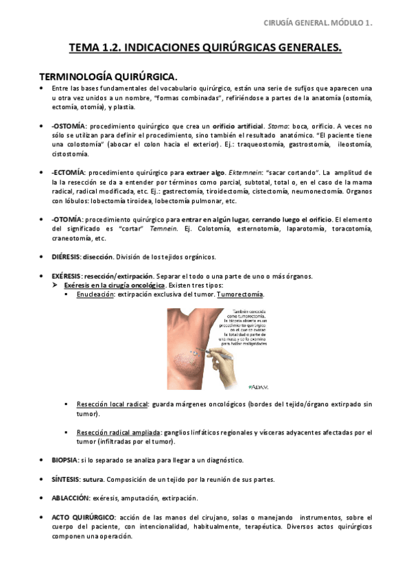 Miniatura del documento Tema-1.pdf