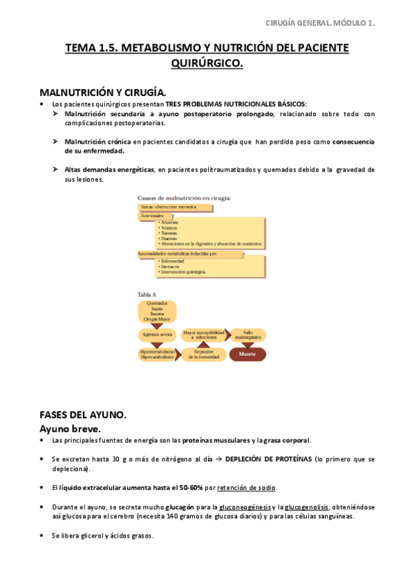 Miniatura del documento Tema-1.pdf