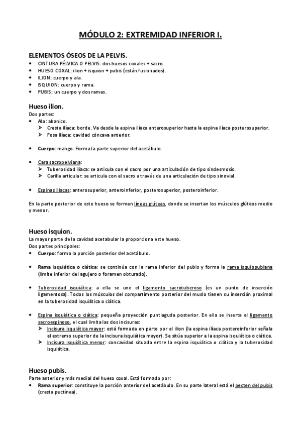 Miniatura del documento APUNTES-MODULO-2-ANATOMIA-I.pdf
