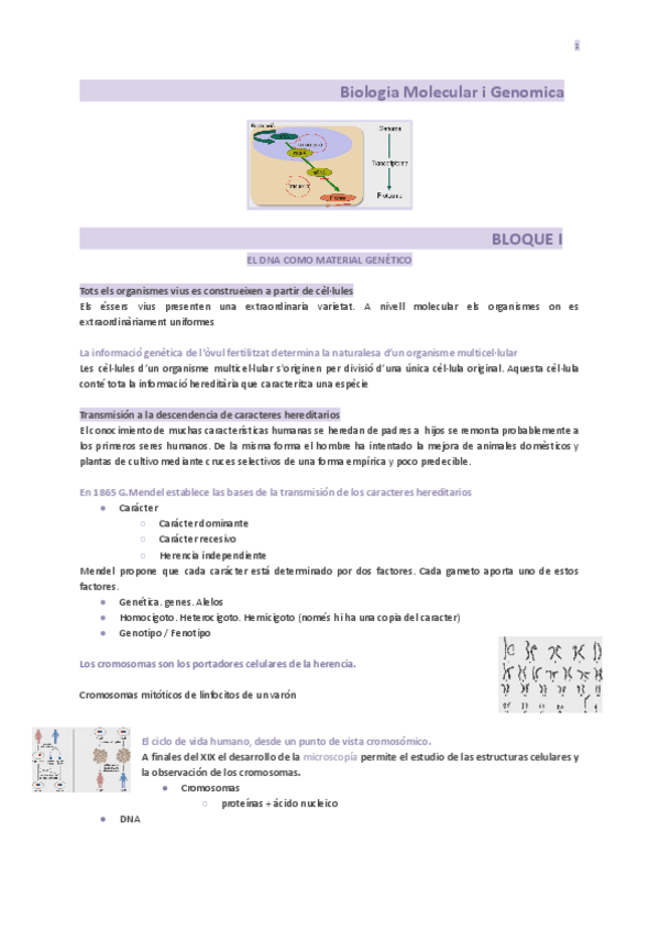 Miniatura del documento Biologia-Molecular-i-Genomica.pdf