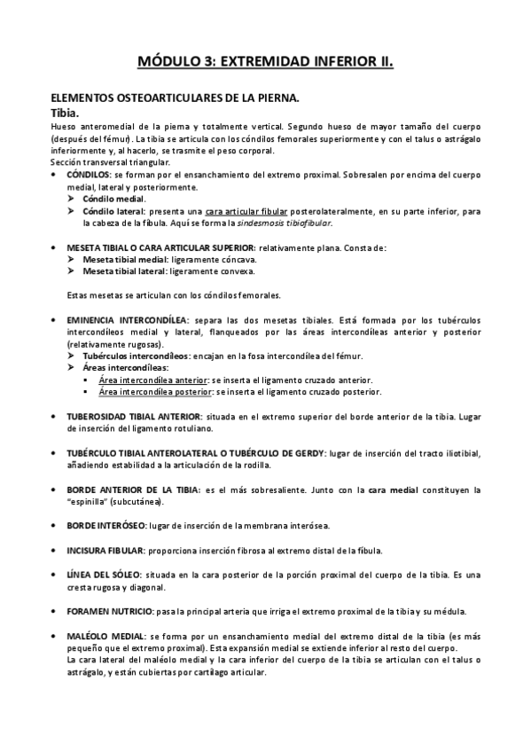 Miniatura del documento APUNTES-MODULO-3-ANATOMIA-I.pdf