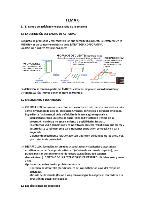 Miniatura del documento TEMA-6-DIRECCION-ESTRATEGICA.pdf
