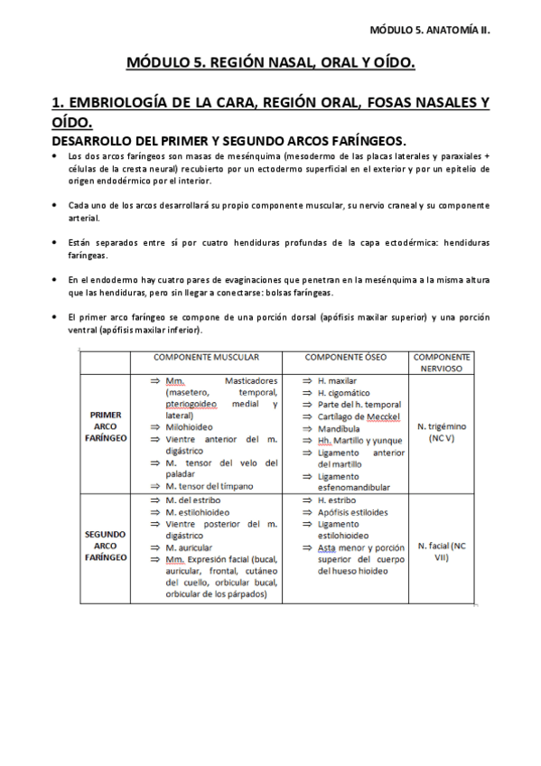 Miniatura del documento APUNTES-MODULO-5-ANATOMIA-II.pdf