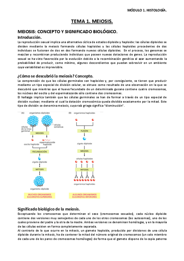 Miniatura del documento APUNTES-HISTOLOGIA-MODULO-1.pdf