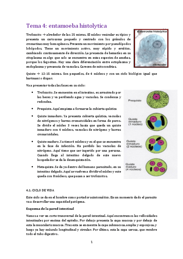Miniatura del documento Tema 4 para.pdf